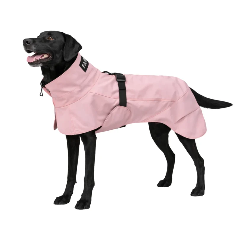 paikka koiran sadetakki