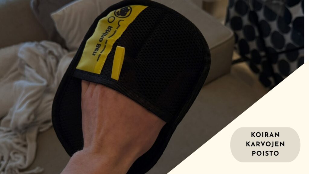 Koiran karvojen poisto