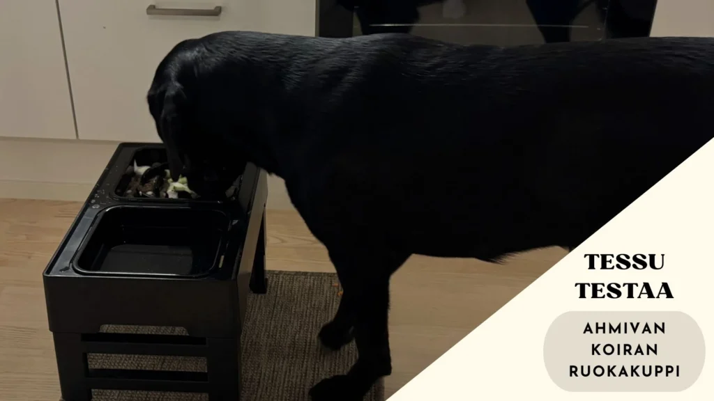 Ahmivan koiran ruokakuppi
