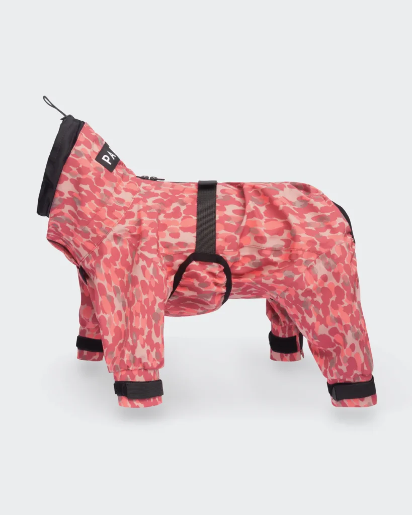 Paras koiran sadetakki